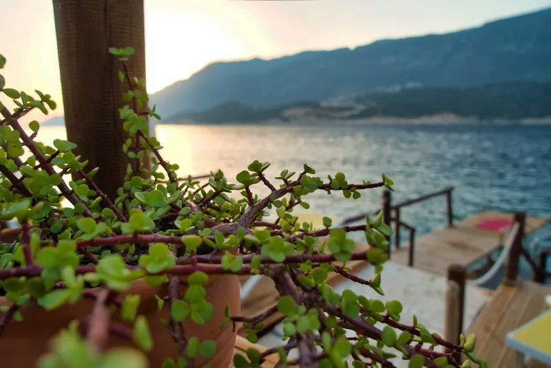 Private beach yüzme alanı
